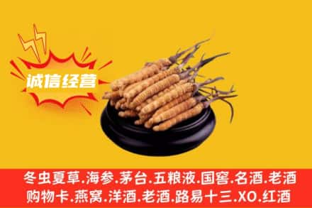 潮南区回收冬虫夏草